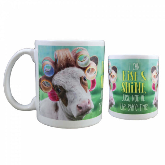 This designer 12 oz. mug is a practical birthday or holiday gift that is also fun and appreciated! Mug reads: I can rise & shine, just not at the same time.