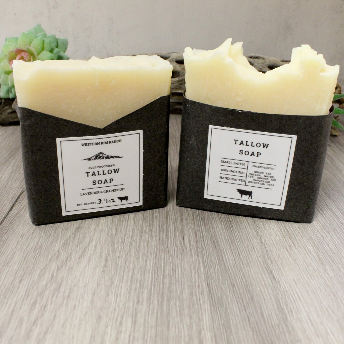 Two bars of Tallow Soap by Western Ranch, wrapped in black paper sleeves with white labels, displayed on a light gray wood surface with a small succulent in the background.