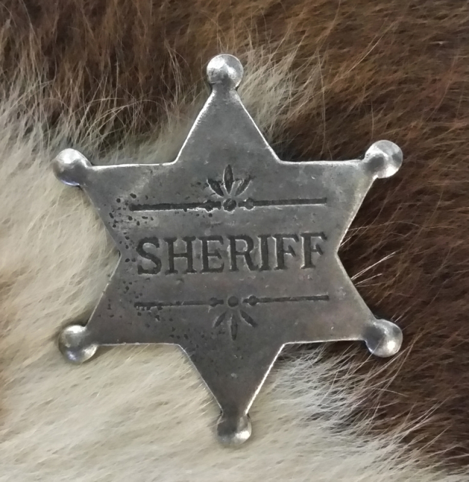  FAYXTIN Sheriff Badges Western Gold Vintage Men's Swim