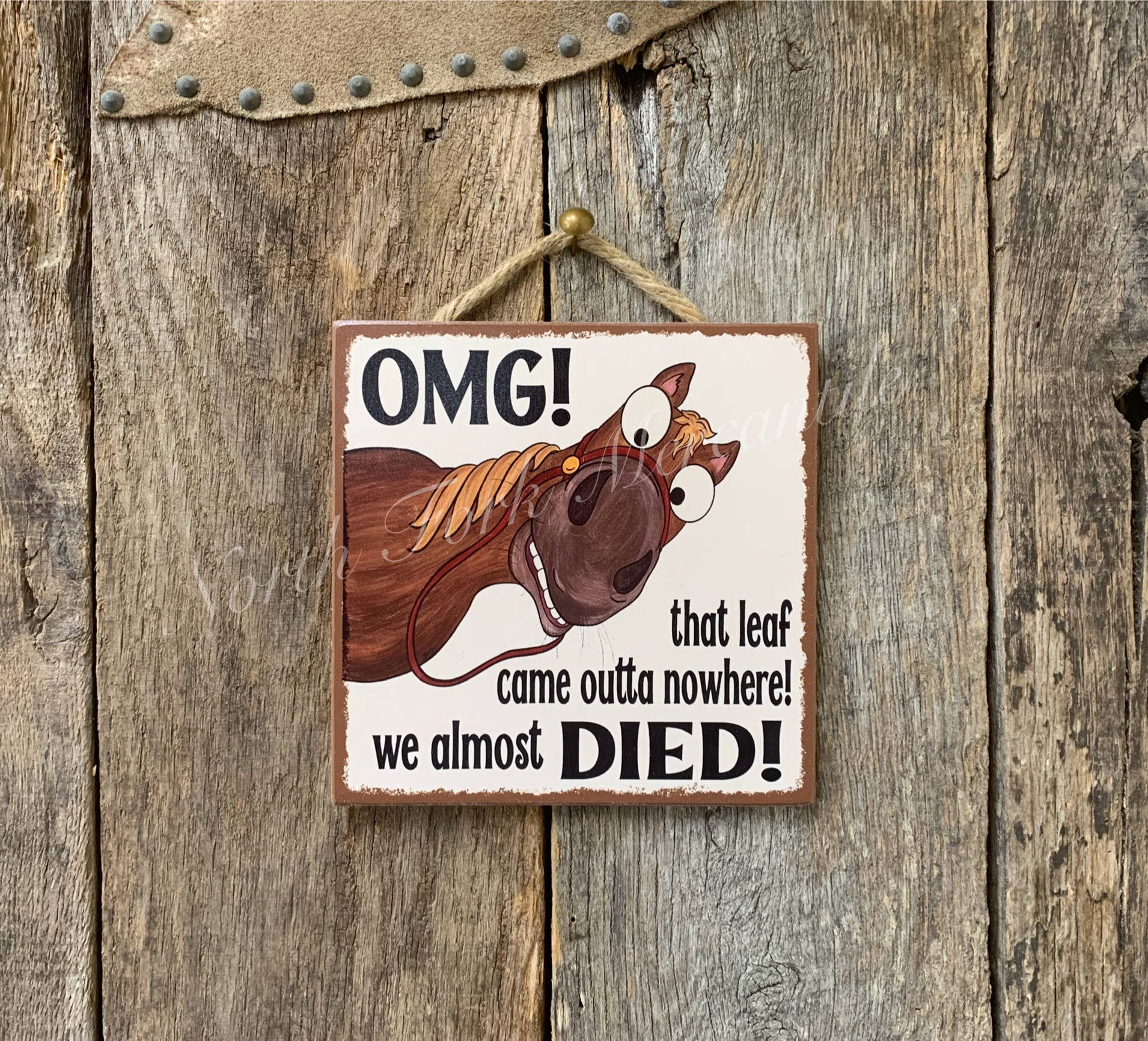 Wooden sign with cartoon horse and humorous text on a wooden background