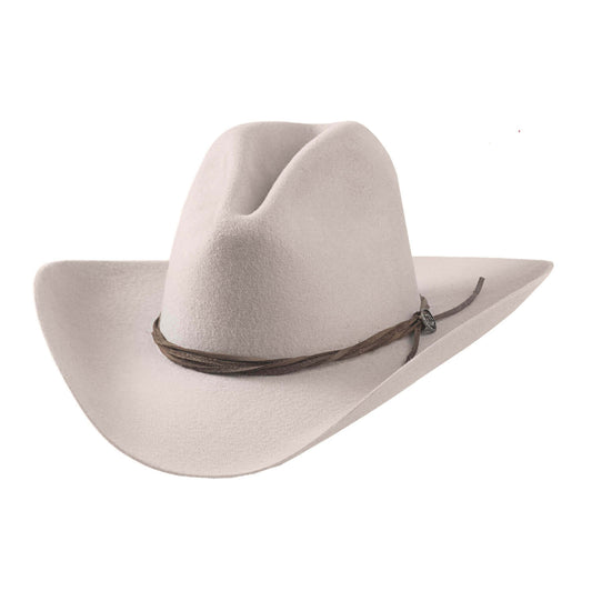 Light gray cowboy hat with a brown band on a white background