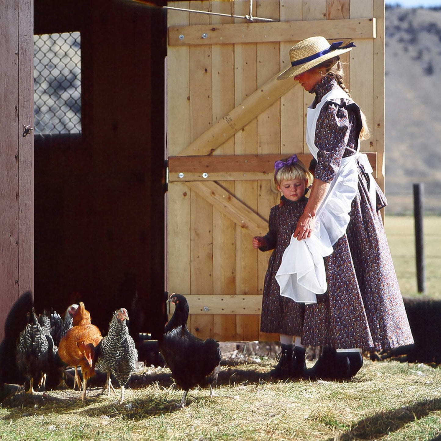 Chicken Feeding Apron