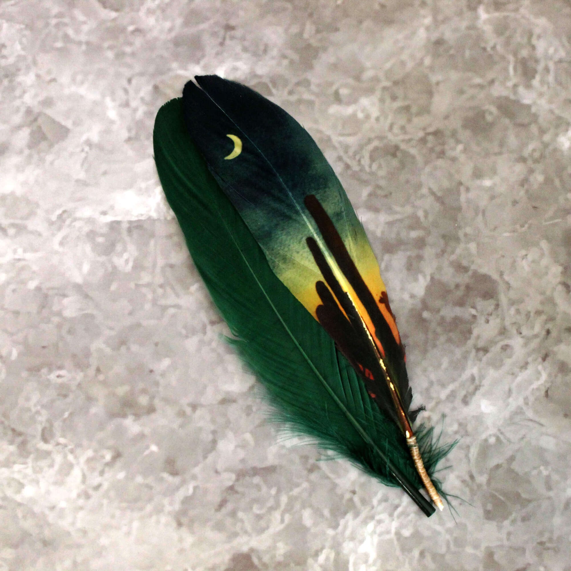 Green feather with a crescent moon design on a textured gray surface