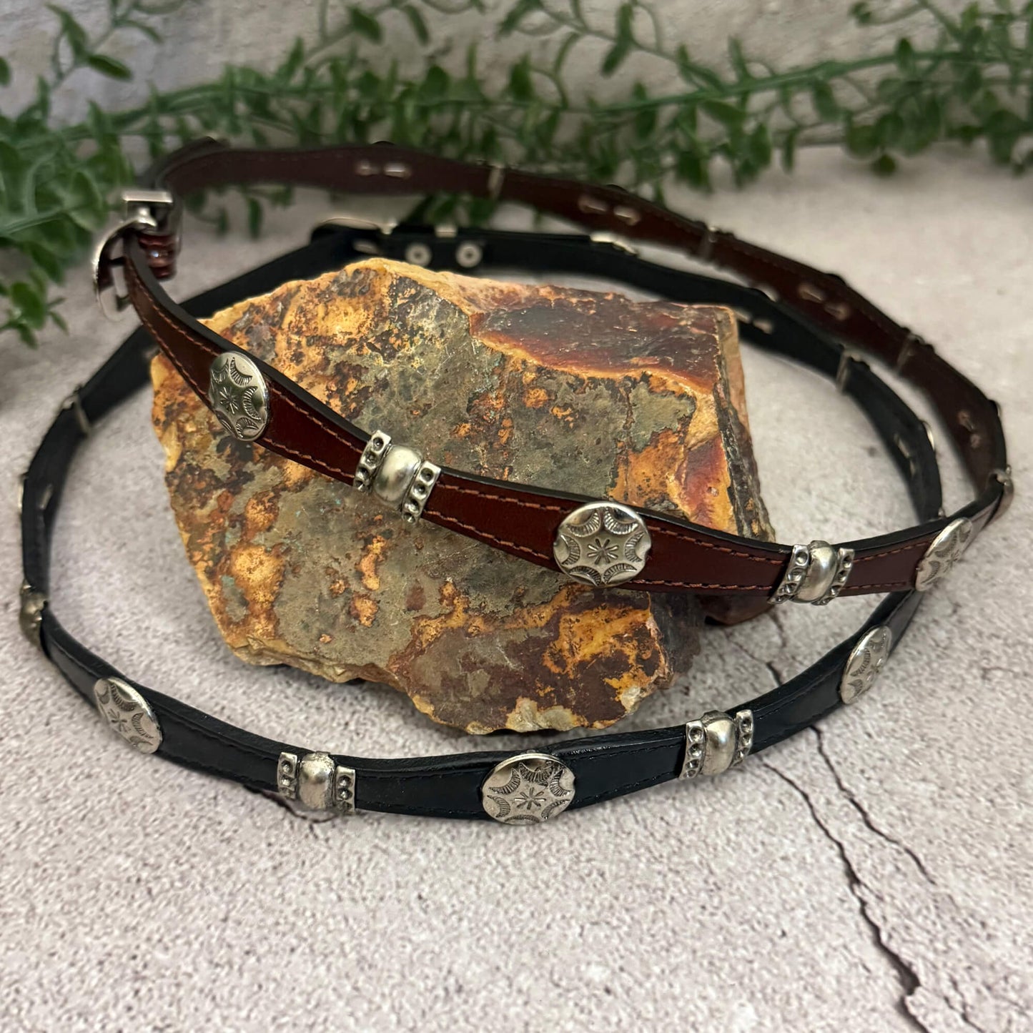 Leather belt with metal conchos on a stone surface with greenery in the background