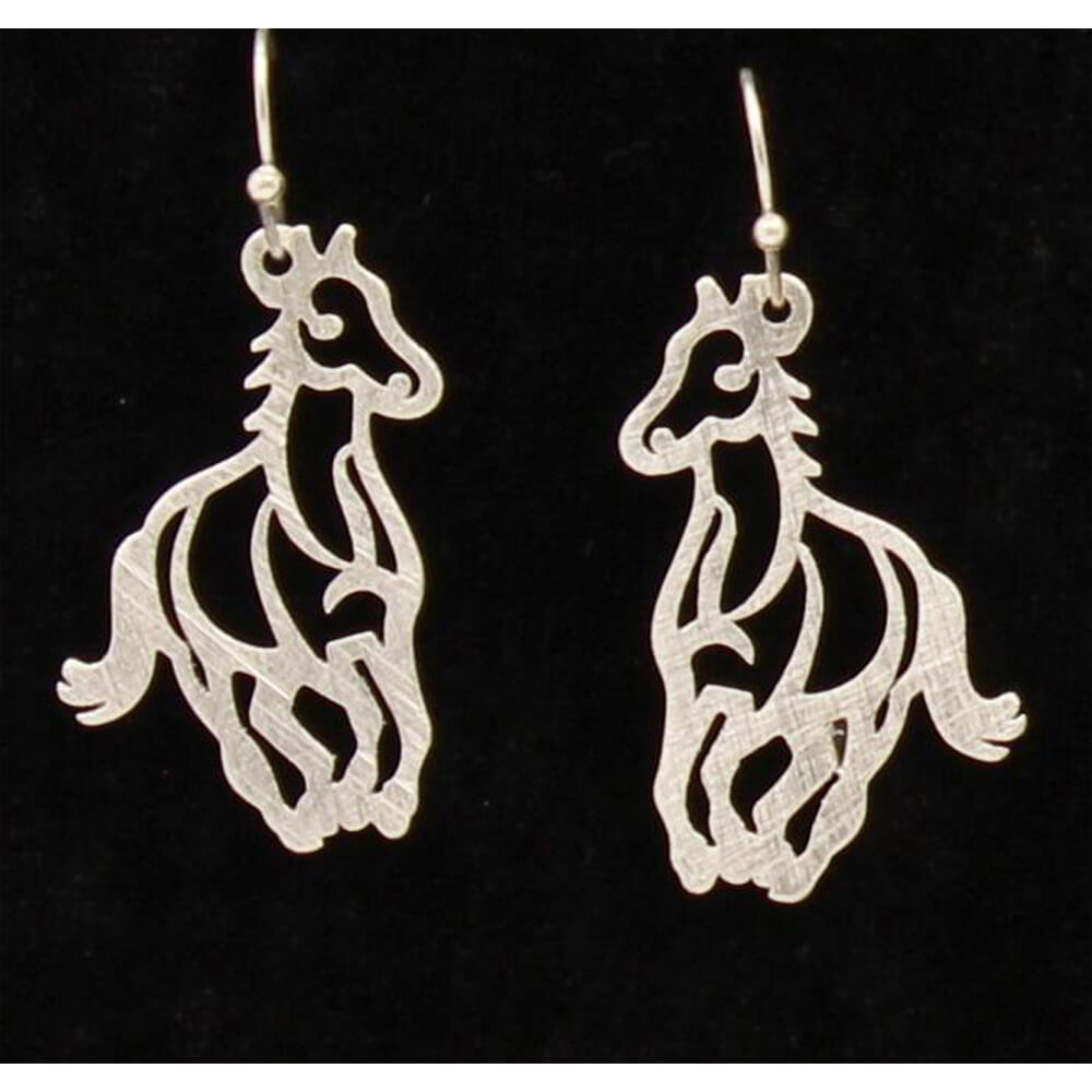 Western Earrings Silver